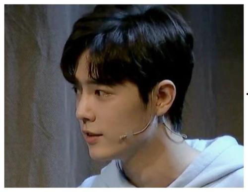 肖战负面新闻 爆料,真相与反思  第2张