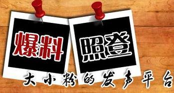 双峰新闻爆料,揭秘双峰县最新热点事件，双峰县双峰镇发生惊人一幕